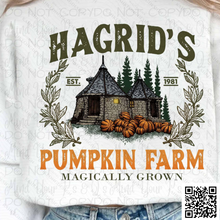 Load image into Gallery viewer, Pumpkin Farm
